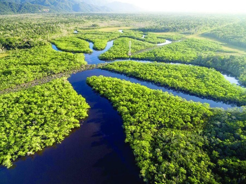 Amazônia registra quarta queda consecutiva no desmatamento e perde 5.796 km² em 12 meses