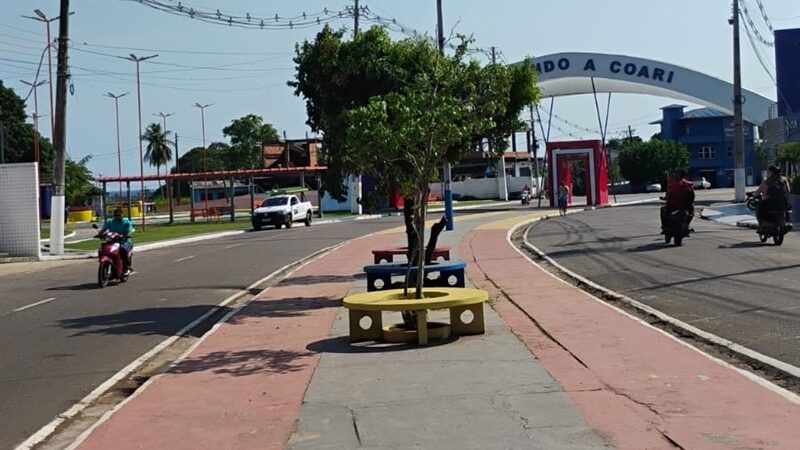 Árvores da avenida Plínio Coelho são replantadas na avenida do futuro durante obras de modernização